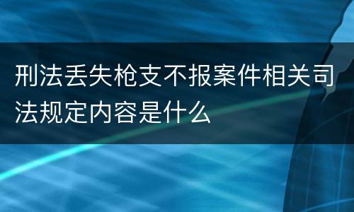 刑法丢失枪支不报案件相关司法规定内容是什么