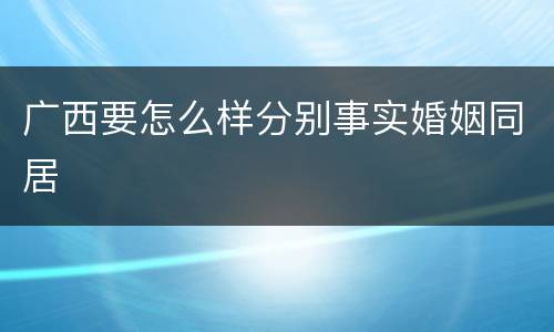 广西要怎么样分别事实婚姻同居