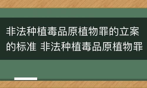 非法种植毒品原植物罪的立案的标准 非法种植毒品原植物罪的立案的标准是什么
