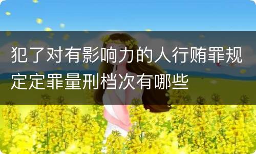 犯了对有影响力的人行贿罪规定定罪量刑档次有哪些