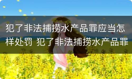 犯了非法捕捞水产品罪应当怎样处罚 犯了非法捕捞水产品罪应当怎样处罚呢