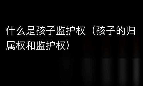 什么是孩子监护权（孩子的归属权和监护权）