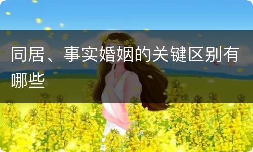同居、事实婚姻的关键区别有哪些