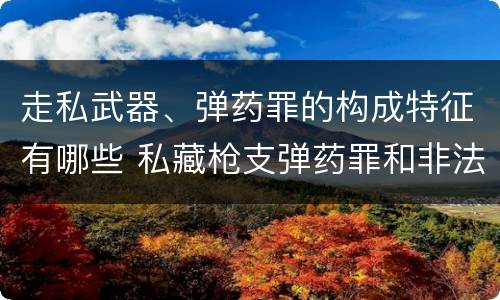 走私武器、弹药罪的构成特征有哪些 私藏枪支弹药罪和非法持有枪支弹药罪区别