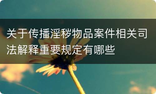 关于传播淫秽物品案件相关司法解释重要规定有哪些