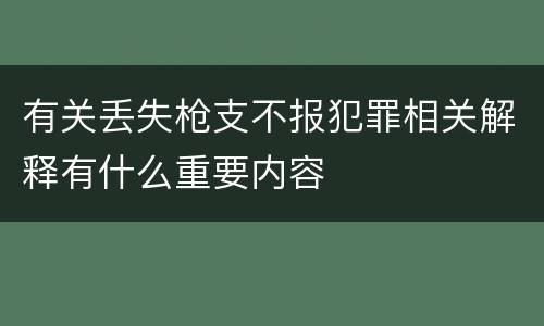 有关丢失枪支不报犯罪相关解释有什么重要内容
