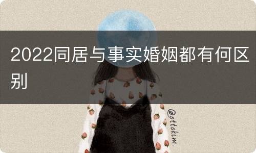 2022同居与事实婚姻都有何区别