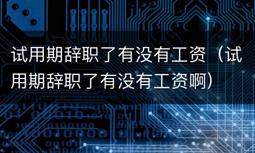 试用期辞职了有没有工资（试用期辞职了有没有工资啊）