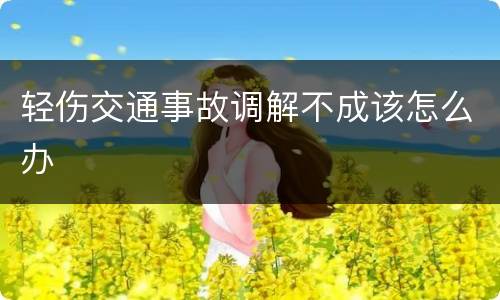 轻伤交通事故调解不成该怎么办