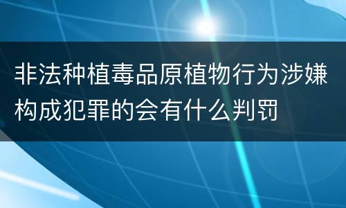 非法种植毒品原植物行为涉嫌构成犯罪的会有什么判罚