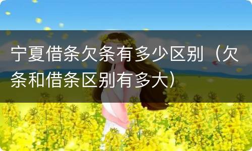 宁夏借条欠条有多少区别（欠条和借条区别有多大）