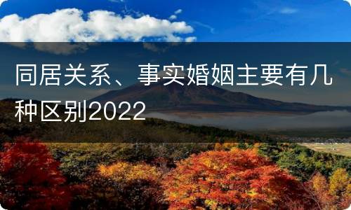 同居关系、事实婚姻主要有几种区别2022