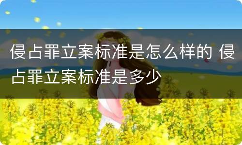 侵占罪立案标准是怎么样的 侵占罪立案标准是多少