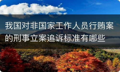 我国对非国家工作人员行贿案的刑事立案追诉标准有哪些