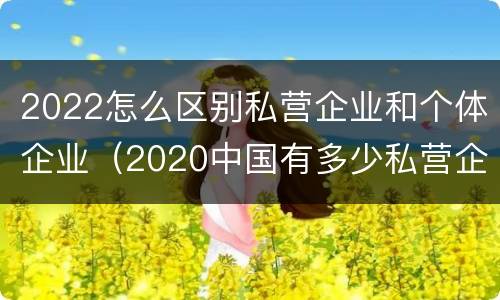 2022怎么区别私营企业和个体企业（2020中国有多少私营企业）