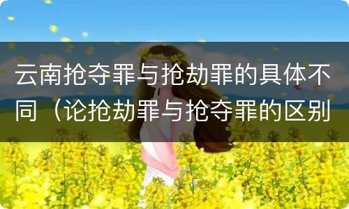 云南抢夺罪与抢劫罪的具体不同（论抢劫罪与抢夺罪的区别）