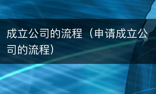 成立公司的流程（申请成立公司的流程）