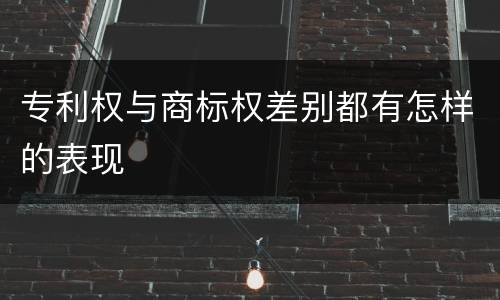 专利权与商标权差别都有怎样的表现