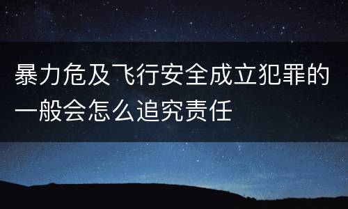 暴力危及飞行安全成立犯罪的一般会怎么追究责任