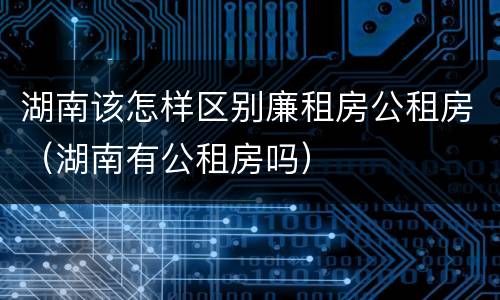 湖南该怎样区别廉租房公租房（湖南有公租房吗）