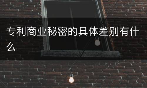 专利商业秘密的具体差别有什么