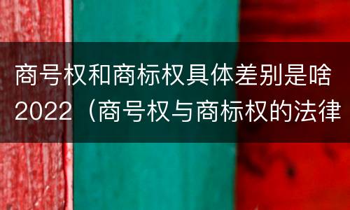 商号权和商标权具体差别是啥2022（商号权与商标权的法律冲突与解决）