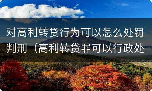 对高利转贷行为可以怎么处罚判刑（高利转贷罪可以行政处罚吗）