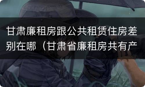 甘肃廉租房跟公共租赁住房差别在哪（甘肃省廉租房共有产权能卖吗）