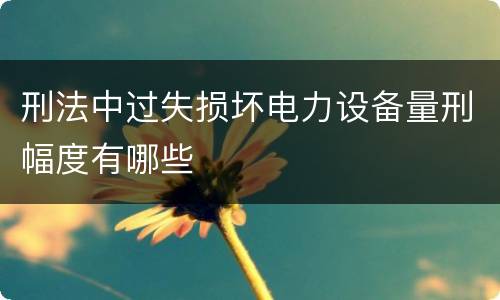 刑法中过失损坏电力设备量刑幅度有哪些