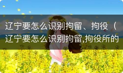 辽宁要怎么识别拘留、拘役（辽宁要怎么识别拘留,拘役所的人）