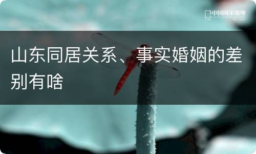 山东同居关系、事实婚姻的差别有啥