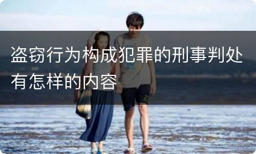 盗窃行为构成犯罪的刑事判处有怎样的内容