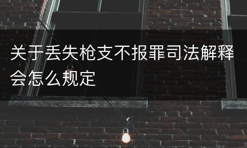 关于丢失枪支不报罪司法解释会怎么规定