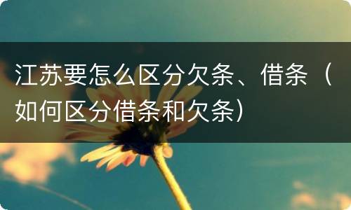 江苏要怎么区分欠条、借条（如何区分借条和欠条）