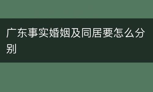广东事实婚姻及同居要怎么分别