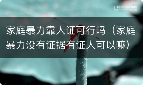 家庭暴力靠人证可行吗（家庭暴力没有证据有证人可以嘛）