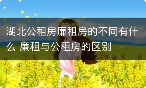 湖北公租房廉租房的不同有什么 廉租与公租房的区别