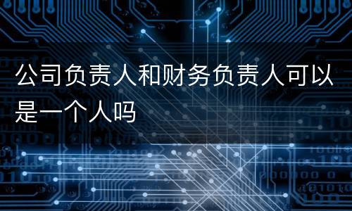 公司负责人和财务负责人可以是一个人吗