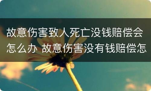 故意伤害致人死亡没钱赔偿会怎么办 故意伤害没有钱赔偿怎么办