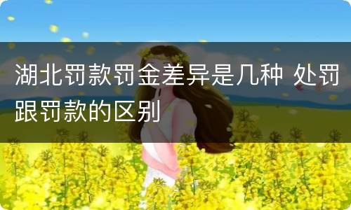 湖北罚款罚金差异是几种 处罚跟罚款的区别