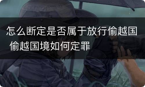 怎么断定是否属于放行偷越国 偷越国境如何定罪