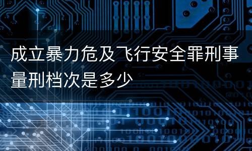 成立暴力危及飞行安全罪刑事量刑档次是多少