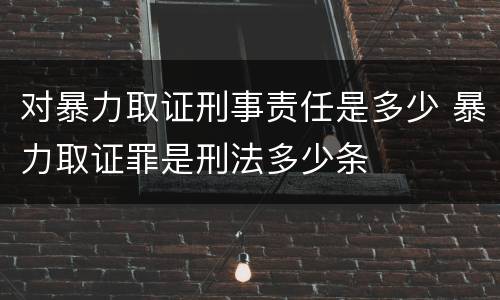 对暴力取证刑事责任是多少 暴力取证罪是刑法多少条