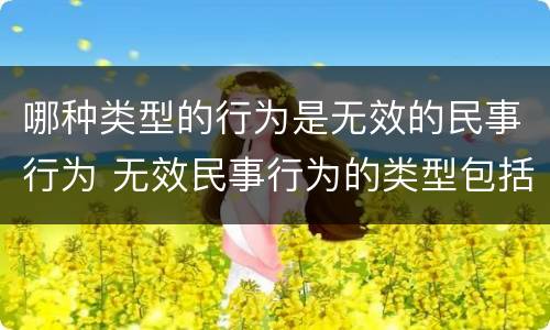哪种类型的行为是无效的民事行为 无效民事行为的类型包括