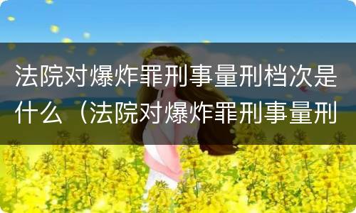 法院对爆炸罪刑事量刑档次是什么（法院对爆炸罪刑事量刑档次是什么要求）