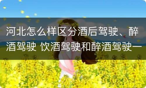 河北怎么样区分酒后驾驶、醉酒驾驶 饮酒驾驶和醉酒驾驶一样吗