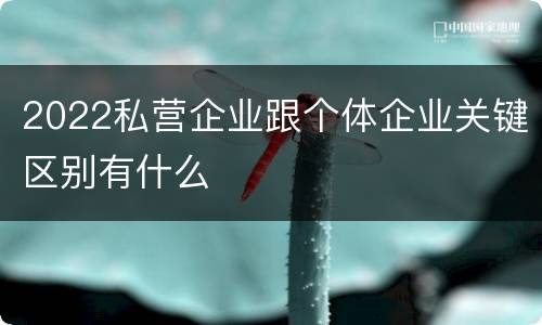 2022私营企业跟个体企业关键区别有什么
