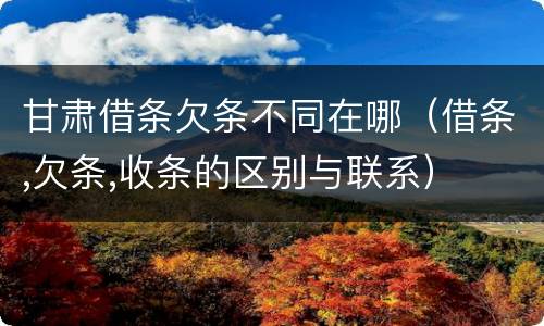 甘肃借条欠条不同在哪（借条,欠条,收条的区别与联系）