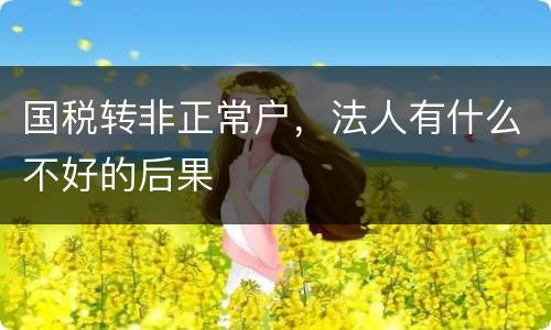 国税转非正常户，法人有什么不好的后果