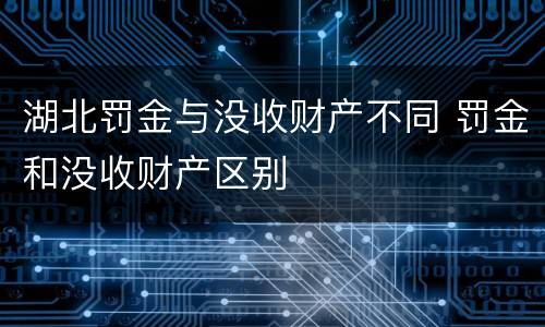 湖北罚金与没收财产不同 罚金和没收财产区别